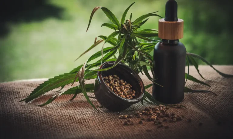 Segunda edição da ExpoCannabis apresenta novos usos da planta