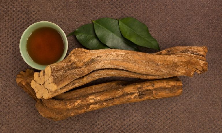 Tribunal condena casal que deu chá de ayahuasca a adolescente em ritual religioso