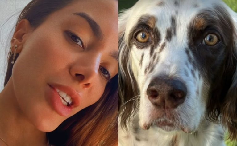 Anitta encontra Charlie, seu cachorro, após sumiço no Natal