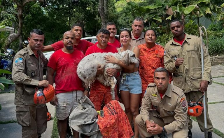 Anitta encontra seu cachorro Charlie após sumiço na noite de Natal