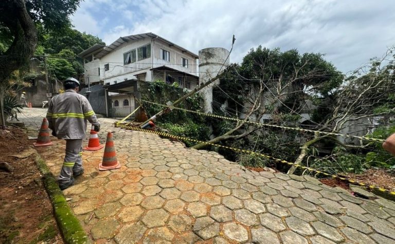 Árvores caem, atingem muro e parte da fiação em Vitória por conta da chuva
