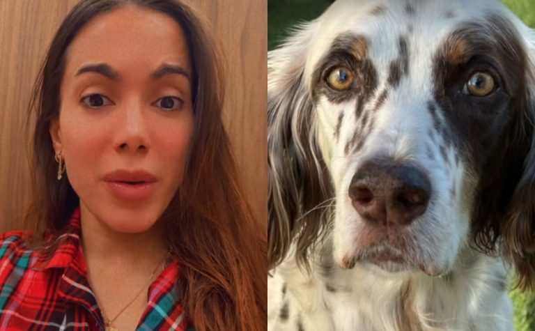Cachorro de Anitta some na noite de Natal: ‘ainda vai me matar do coração’