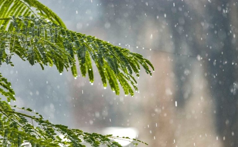 Natal no Espírito Santo vai ser com chuva?