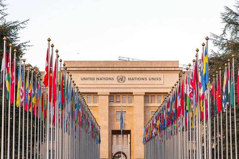 ONU declara 2025 como o Ano das Cooperativas