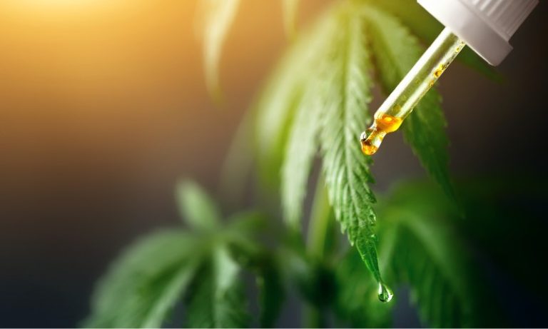 PE: promulgada lei que garante distribuição gratuita de remédios à base de cannabis