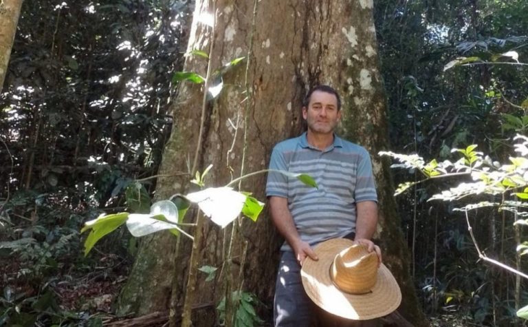 Pacotuba, o parque das árvores gigantes e centenárias no ES