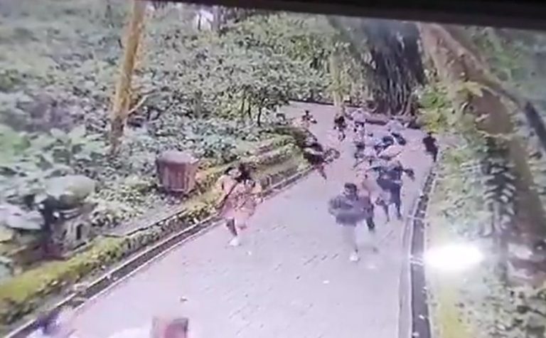 VÍDEO | Árvore gigante cai e mata duas turistas em floresta na Indonésia