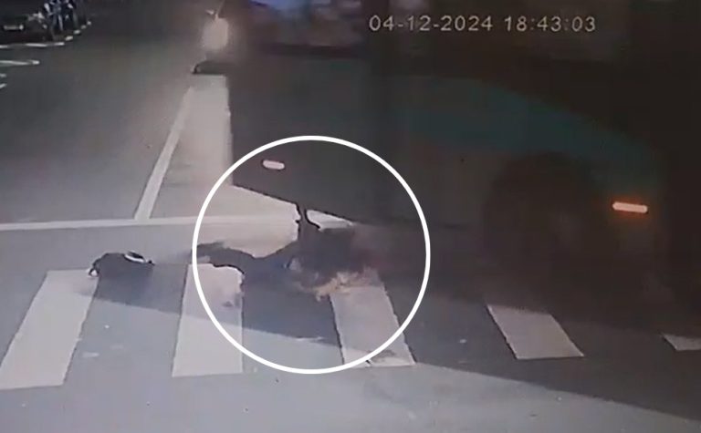VÍDEO | Jovem é arremessada de ônibus em movimento no Centro de Vitória