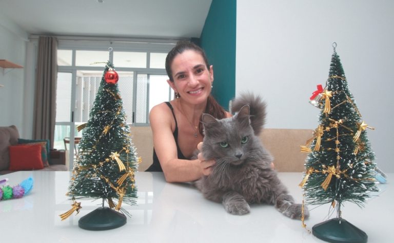 Veterinários apontam cuidados com os pets nas festas de fim de ano