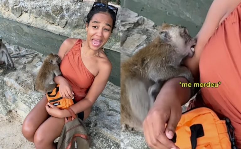 Brasileira mordida por macaco na Tailândia paga R$ 4 mil para iniciar tratamento