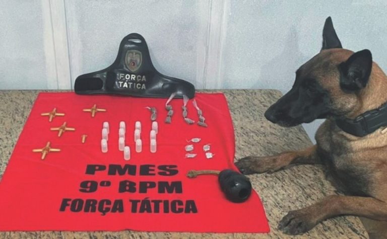 Cão herói da polícia de Cachoeiro fica doente e antecipa aposentadoria