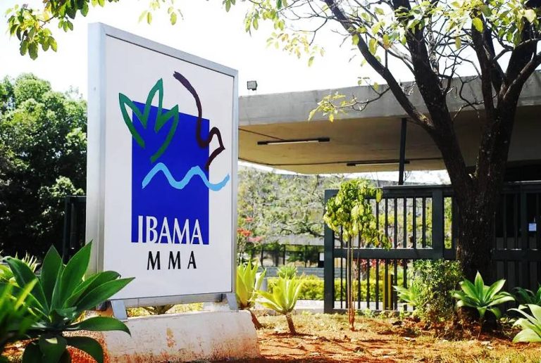 Concurso do Ibama terá 460 vagas com salários de R$ 9,9 mil