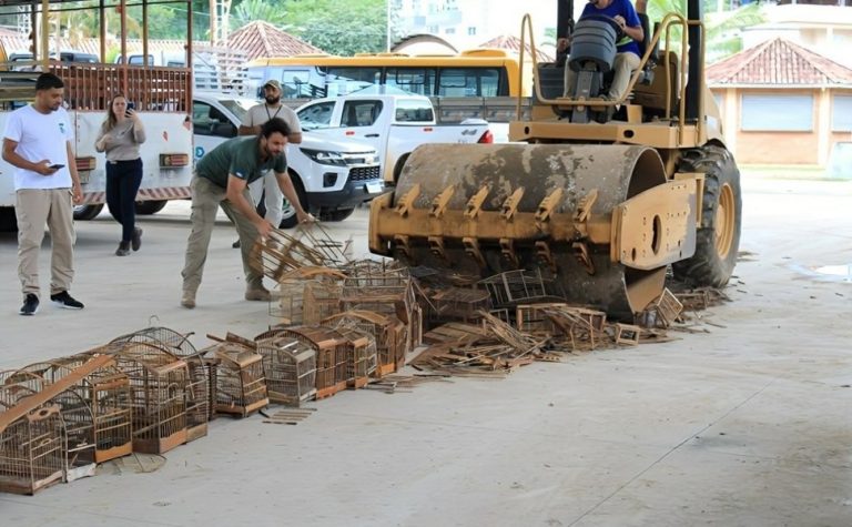 Gaiolas apreendidas em ações de fiscalização ambiental do Iema são destruídas
