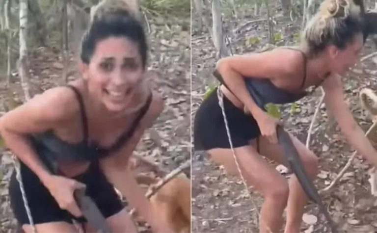 Ibama identifica mulher que torturou e filmou morte de onça-parda