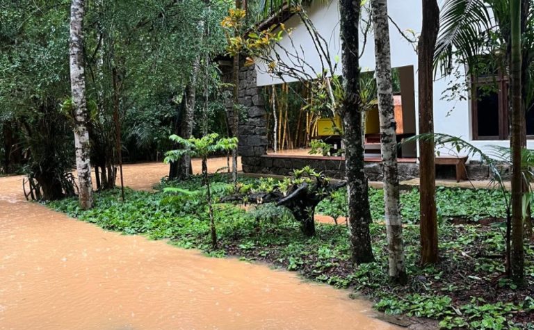 Museu de Biologia de Santa Teresa suspende visitas após enchente