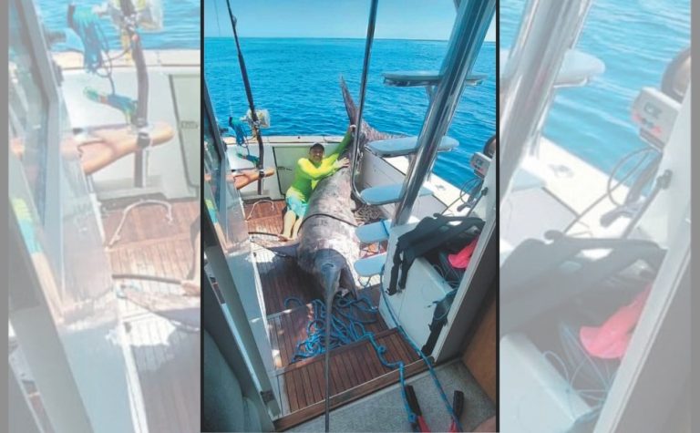 Peixe de 328 quilos: “A pesca foi muito especial”, diz comandante da embarcação