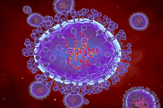 Pernambuco registra novos casos de metapneumovírus em 2025: entenda o vírus