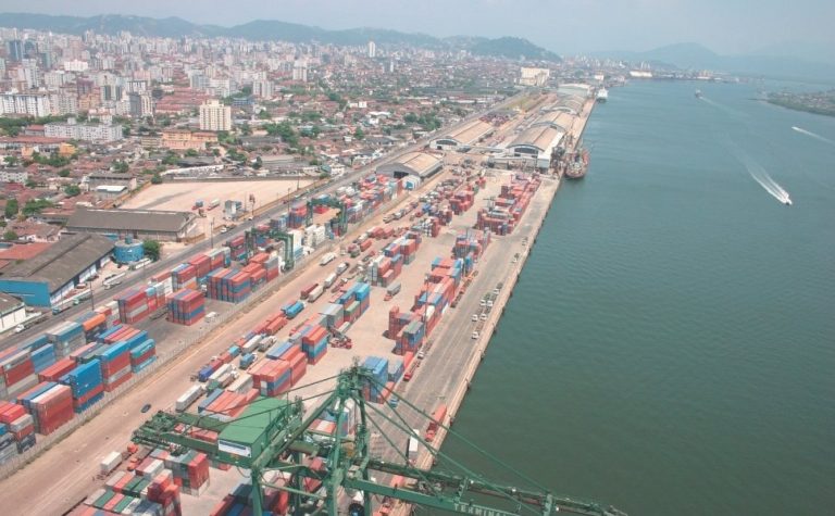 Praga da Ásia ameaça se espalhar no Brasil