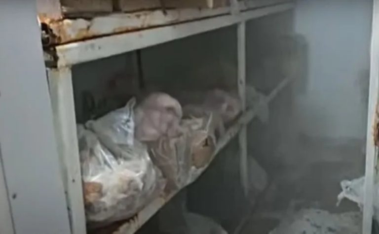 Presos 4 acusados de vender carne que ficou submersa na enchente do RS