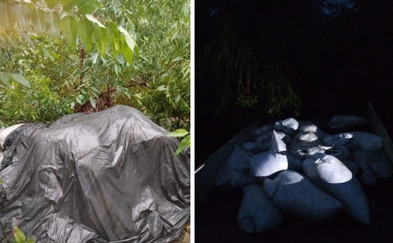 Quatro suspeitos são presos após roubo de 5 toneladas de pimenta no Noroeste do ES
