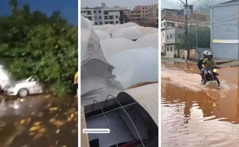 Temporal destrói estruturas, derruba árvores e alaga ruas no ES