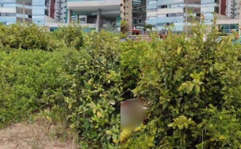 Corpo é encontrado em restinga da Praia de Itaparica, em Vila Velha