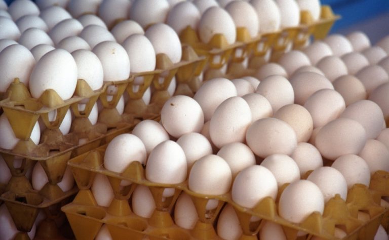 Governo suspende exigência de carimbo com data de validade em cascas de ovos