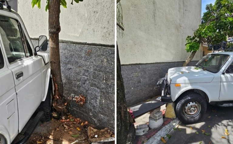 Homem furta carro e acaba detido após perder o controle e bater em árvore