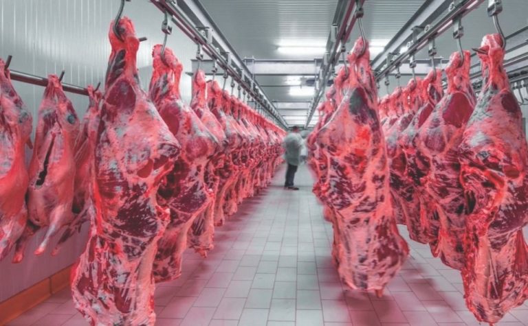China suspende compra de carne bovina do Brasil