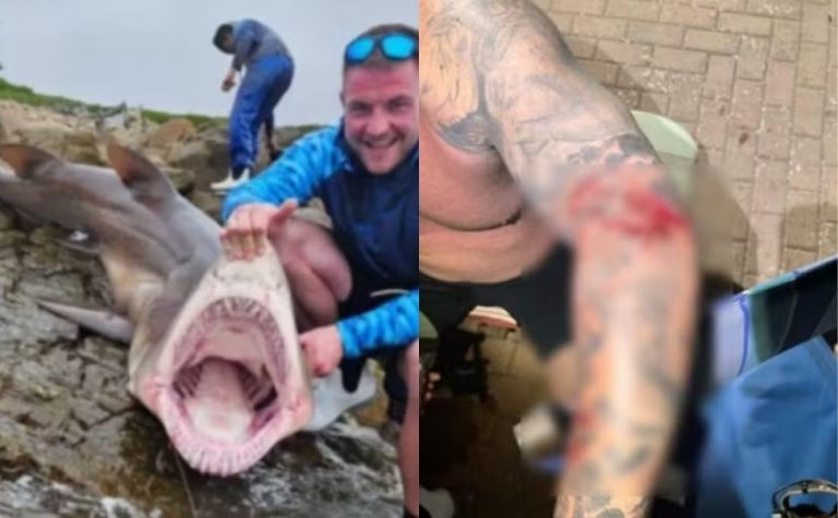 Galês sobrevive após ataque de tubarão de 136kg na África do Sul
