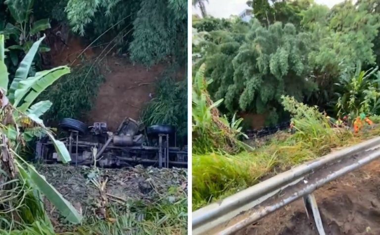 Motorista morre após caminhão cair em ribanceira na BR-101