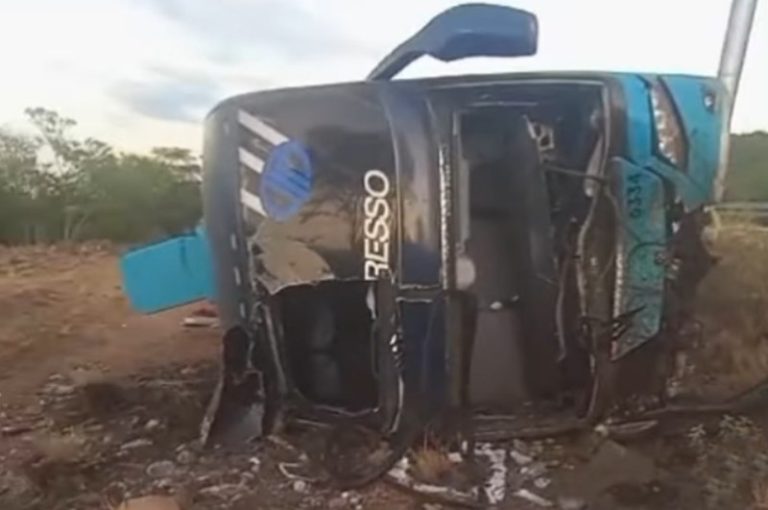 Ônibus da Progresso bate em cavalo e tomba na BR-232, em Serra Talhada