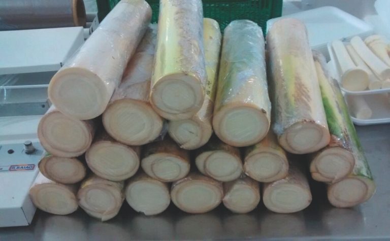 Veja onde comprar palmito na Grande Vitória para fazer sua torta capixaba