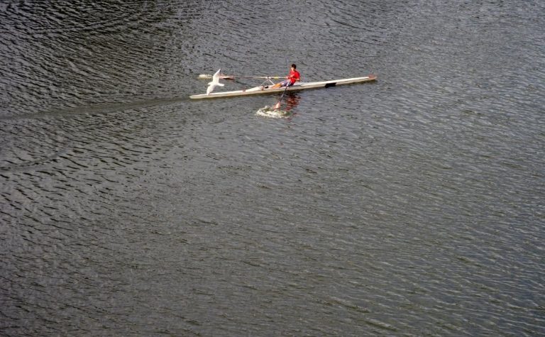 Brasileiro Interclubes – Barcos Curtos: capixabas “voam baixo” na água