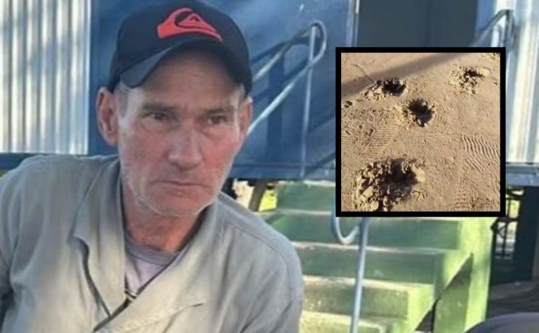 Caseiro é atacado e morto por onça-pintada no pantanal de MS. Veja vídeo