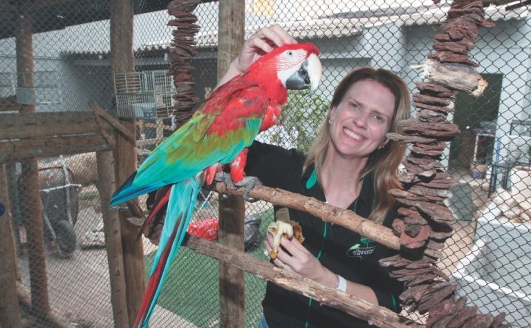 Emoção no resgate de animais silvestres feridos