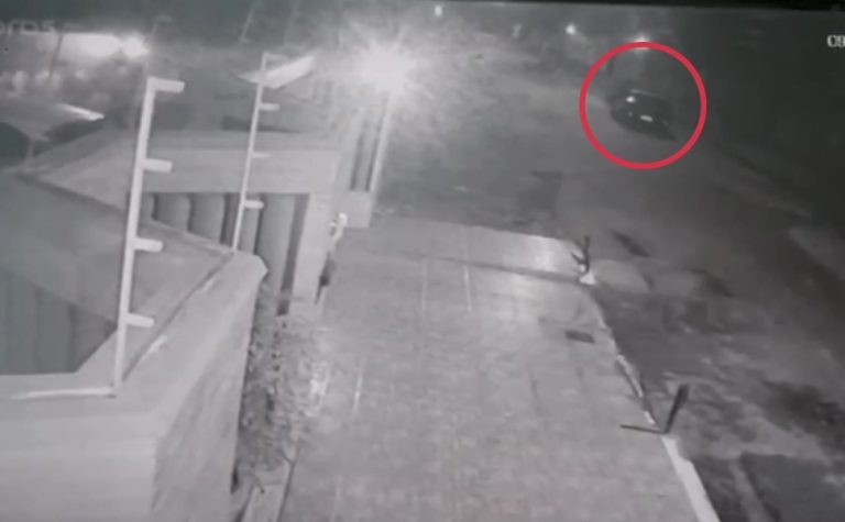 Motorista que atropelou e matou capivaras em Vila Velha será indiciado