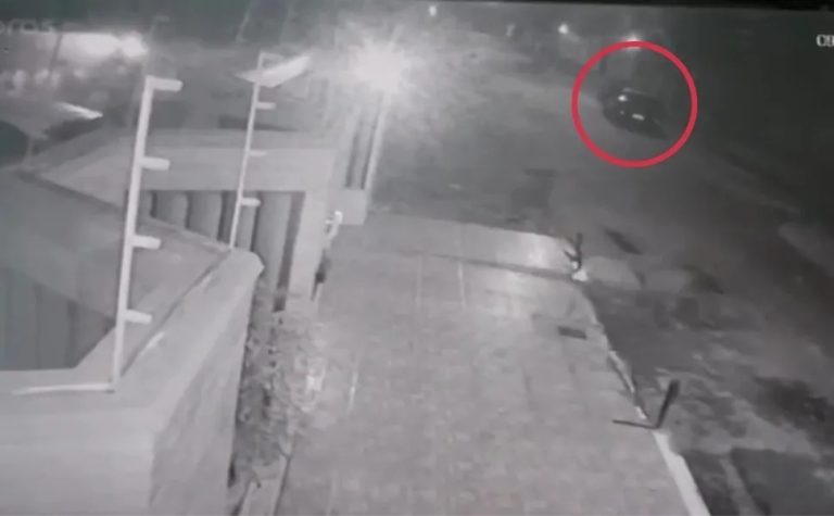 Motorista que atropelou e matou capivaras em Vila Velha é autuado por maus-tratos
