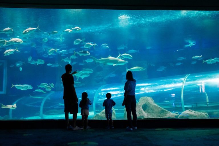 Aquário gigante para turismo e estudos em Guarapari