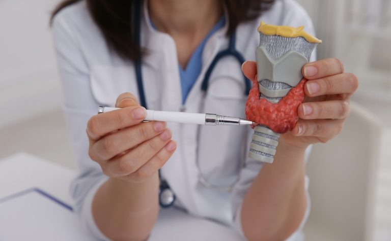 Dia Internacional da Tireoide: distúrbios podem afetar fertilidade