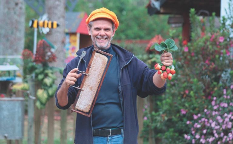 Diversão com passeio de balão e colheita de morango nas Montanhas
