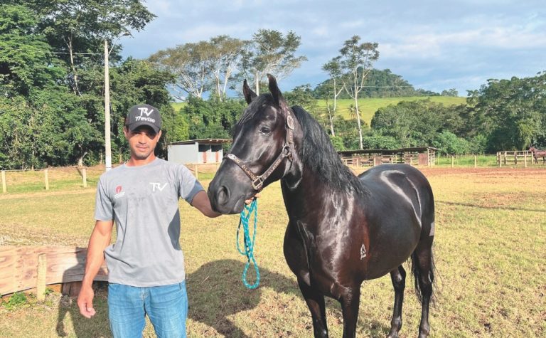 Exposição de cavalos e shows em Alfredo Chaves