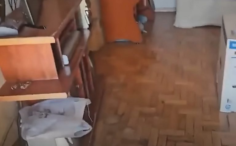 Filhos são presos no RJ sob suspeita de manter cadáver do pai em casa por 6 meses