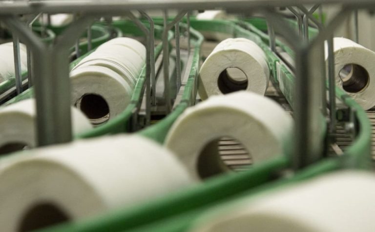 Gigante do café e nova fábrica de papel vão abrir empregos no ES