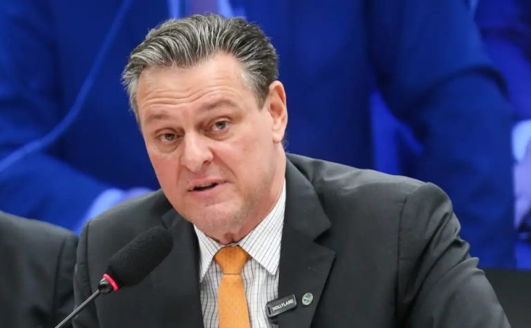 Gripe aviária não deve impactar preço da carne de frango, diz ministro