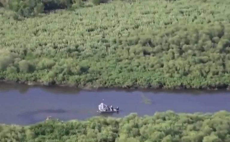 Jacaré mata mulher após ser atropelado por canoa nos EUA