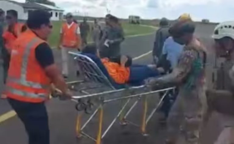 Jacarés, cobras, insetos: passageiros contam como sobreviveram após acidente aéreo