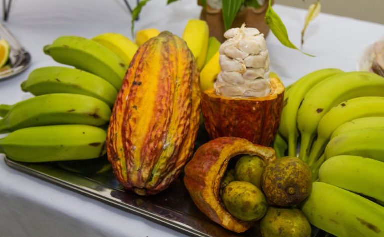 Linhares lança curso técnico gratuito em Fruticultura. Veja como se inscrever