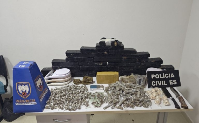 Município do Noroeste do ES tem maior apreensão de drogas na história