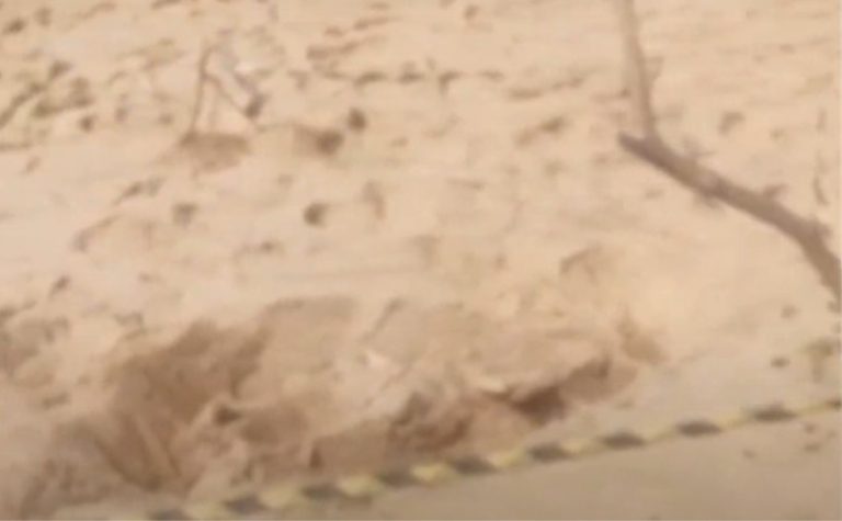 Ossada humana é encontrada na Praia de Itaparica, em Vila Velha